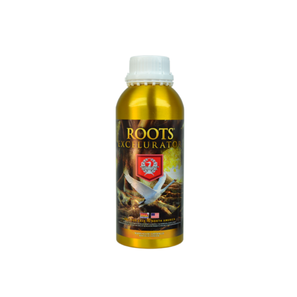 House & Garden Roots Excelurator Gold